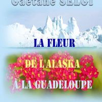 La fleur de l’Alaska à la Guadeloupe